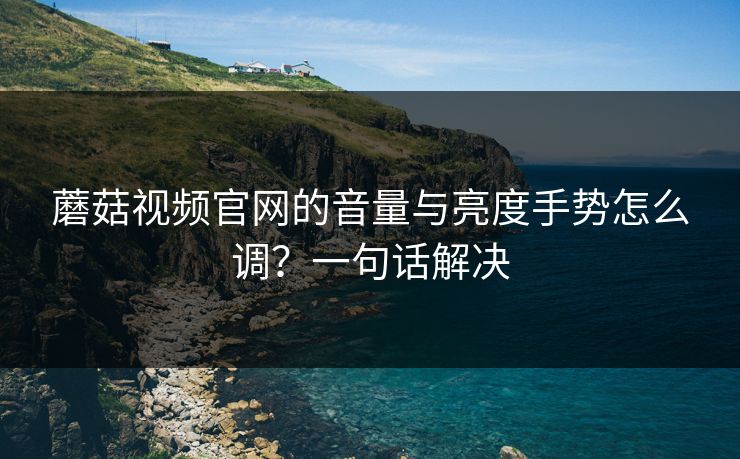 蘑菇视频官网的音量与亮度手势怎么调？一句话解决